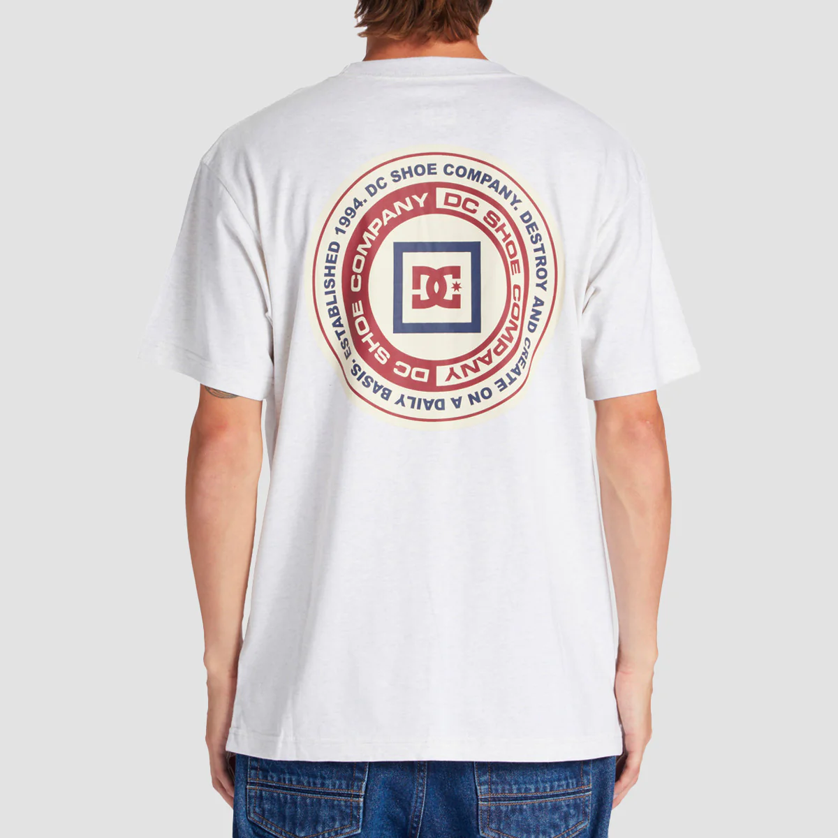 DC Old Head T-Shirt Snow Heather - Image 2