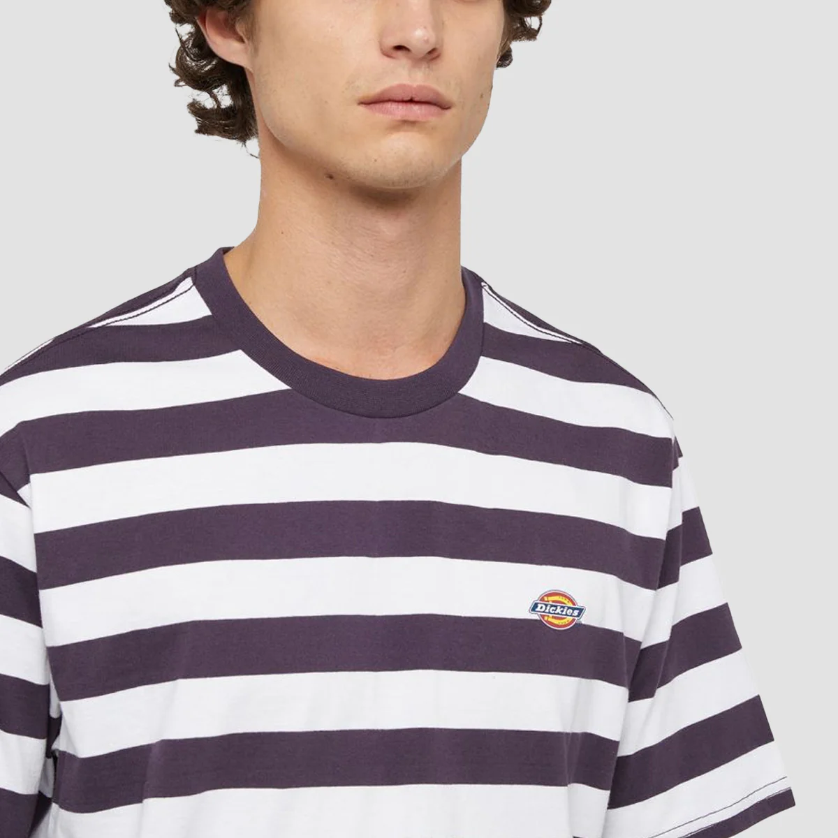 Dickies Rivergrove T-Shirt Plum Perfect - Image 3